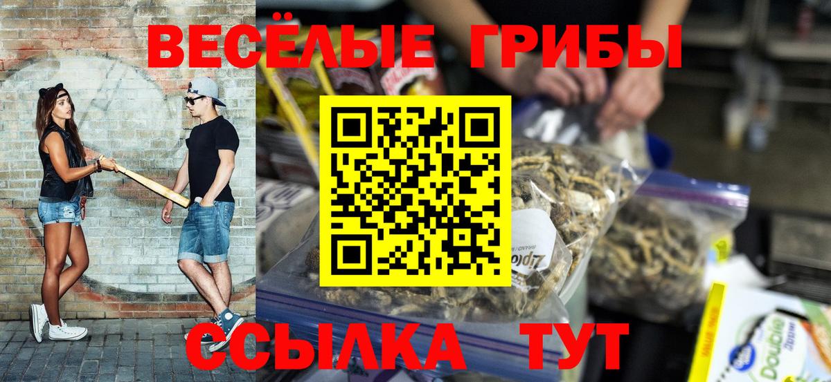 Галлюциногенные грибы Psilocybine cubensis  цена   Старая Русса  Вход с VPN 